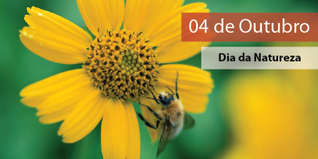 Dia da Natureza- 04 de outubro